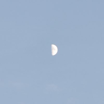 rbags123's profile picture. 2찍, 친일파, 일베충, 남미새, 여미새 사람취급 안합니다.