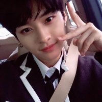 aiden (@piewithlemon) 's Twitter Profile