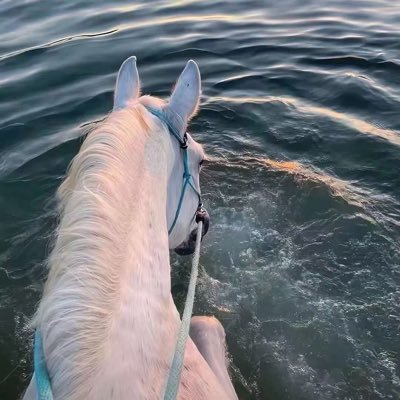 hongyang9168's profile picture. 终身学习