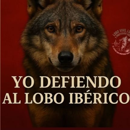 Absoluta64's profile picture. Las cosas Claras!Los Hipócritas y Lame Culos lejos!Respeto al Planeta y a todos sus Seres Vivos!