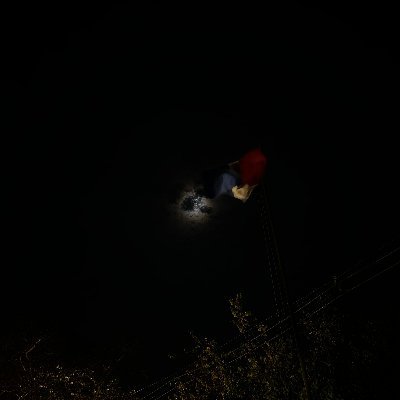 arandomnnim's profile picture.
