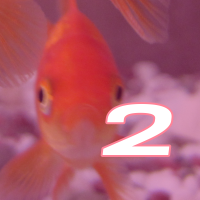 fishvision🐟 (@fishvisionsc) 's Twitter Profile
