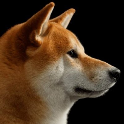 NikicaTiro45117's profile picture. 