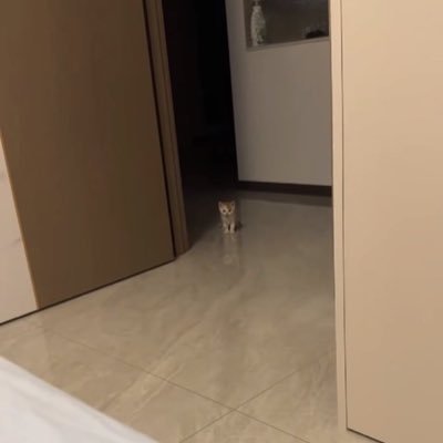 FCBAH01's profile picture. it's ok, i'm probably stälking you too.