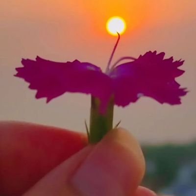 S4113Star's profile picture. 🎯💯

https://t.co/BTmkxMDGXx