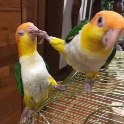 ststbbo's profile picture. 