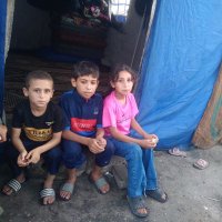Noha Sameer🇵🇸 (@sameernoha68725) 's Twitter Profile