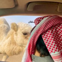 سلطان (@lc11_) Twitter profile photo