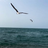 بندر (@aljnhybndr) 's Twitter Profile