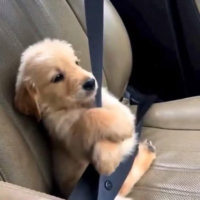 littlejayes's profile picture. 