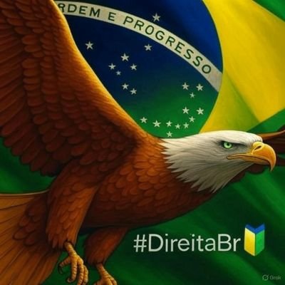 @DireitaBrasilia