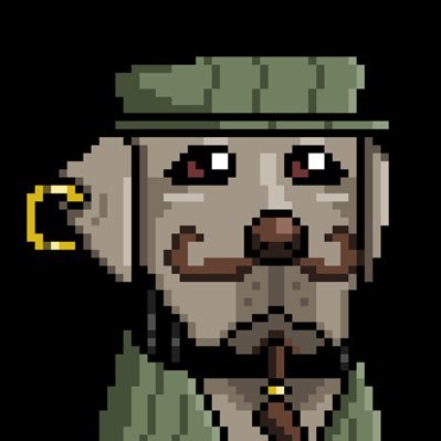 Bitmax $DOG Profile