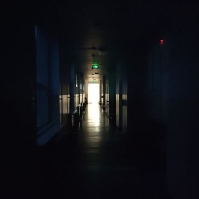 adawg0980's profile picture. Death will come something something eat my nuts