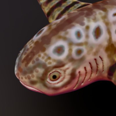 四podaさんのプロフィール画像