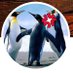 💢moji.crypto1960 (@mojicrypto1960) Twitter profile photo 💢moji.crypto1960 (@mojicrypto1960) Twitter profile photo