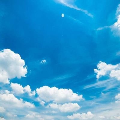 iB13rCSc3B35831's profile picture. 