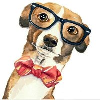 Anti-racist Bob (@antiracistbob) 's Twitter Profile