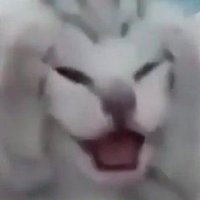 َ (@qasiyahan) 's Twitter Profile