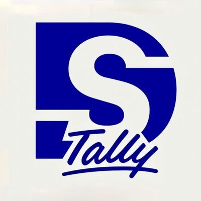 DS InfoTech Tally Profile