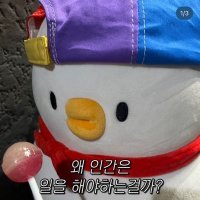 딘B (@dinb_umucd) 's Twitter Profile