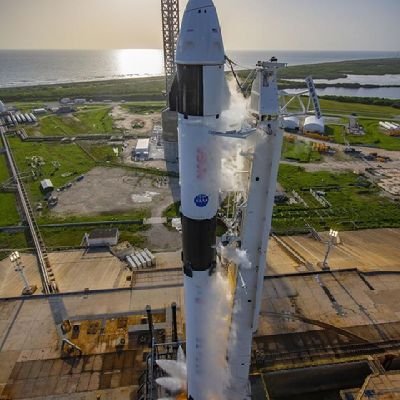 星X (Hoshi-X) – “Hoshi” means star, a SpaceX-style Japanese alias.
