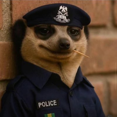 Shijman17's profile picture. OUTSIDER 🦍 🦍 🦍