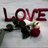 haifa_72's profile image