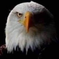 Yknot (@didyouvote47) 's Twitter Profile