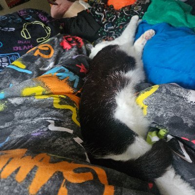 Ojgfcvnju's profile picture. Hi