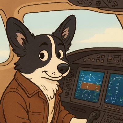 SkySkipper44's profile picture. 