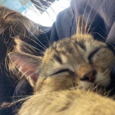 Trish_Una___'s profile picture. 