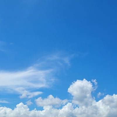 yuka1325901's profile picture. 