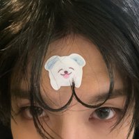 Lu ᥫ᭡ (@sofltyjen) 's Twitter Profile