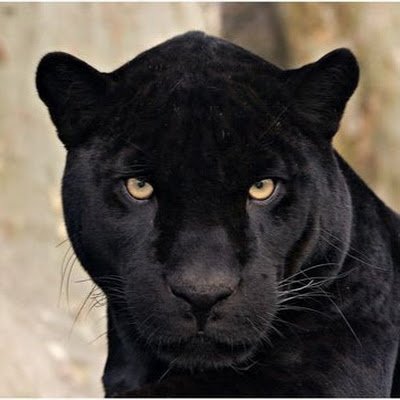 ElionorLag28225's profile picture. The problem is not the problem. 
The problem is your attitude to the problem.