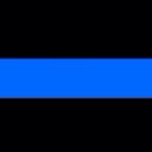 Retired Law Enforcement Officer of 15 years. Worked for both the Hudson County Sheriff’s Department and Bloomfield Township Police Department.