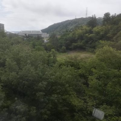 zdcOT7vfkO38655's profile picture. 