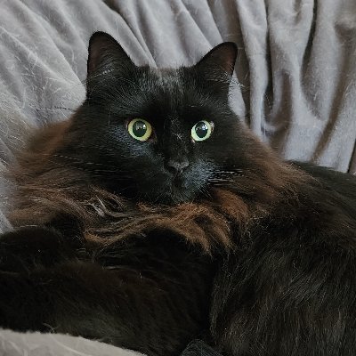 JREngland7's profile picture. Nobody important.