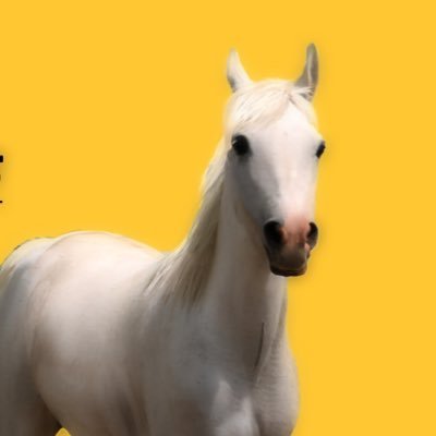 yolkinsect's profile picture. a translucent glass dolphin in the ethernet 🐬