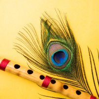 Mukesh 🇮🇳 (मोदी का परिवार) (@mukeshshah29) 's Twitter Profile Photo Mukesh 🇮🇳 (मोदी का परिवार) (@mukeshshah29) 's Twitter Profile Photo