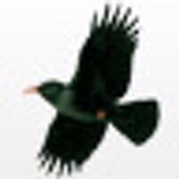 martin_fff (@martin_fff) 's Twitter Profile Photo martin_fff (@martin_fff) 's Twitter Profile Photo