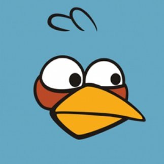 0x526a583b68741396a6a24944c19b86a11b626b2d98118ac7212882c293f5c585::birdo::BIRDO