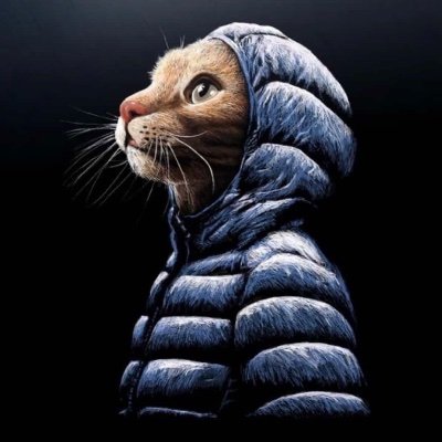 yellowcatmeoww's profile picture. yellowcatmeow on apple music and spotify
