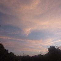 Maarij🍁 (@maarij0) 's Twitter Profile