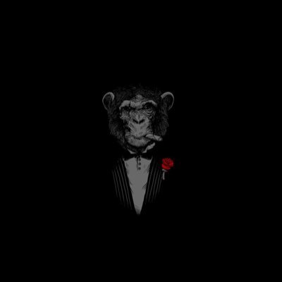 VTheAdventurer's profile picture. 🇺🇸