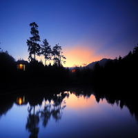 NguyenPres70959's profile picture. 