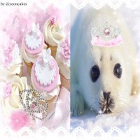 lili ִֶָ۶ৎ˖ִ ˚ (@cabbage1790987) 's Twitter Profile