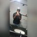 Wender Santana (@santana_wender) Twitter profile photo Wender Santana (@santana_wender) Twitter profile photo