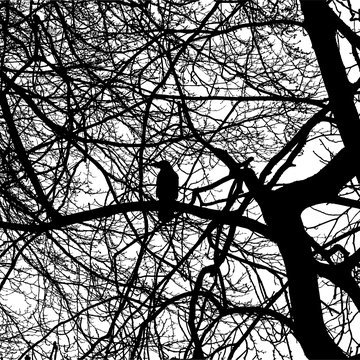 JRavbak34471's profile picture. 