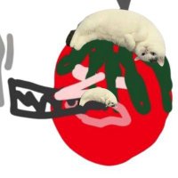 Rotten Tomato ππ± (@tomatepodrido11) 's Twitter Profile