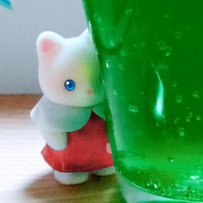 いしい＠ M•PLANTさんのプロフィール画像
